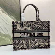 Christian Dior Shopping Bags